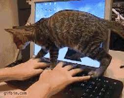 Pin On Animals And Their Humans