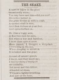 Snake By Emily Dickinson Emily Dickinson Quotes Emily Dickinson Words