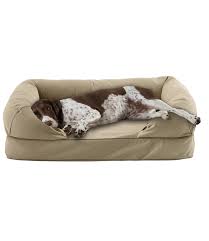 Therapeutic Dog Couch In 2020 Dog Couch Dog Bed Premium Dog Beds