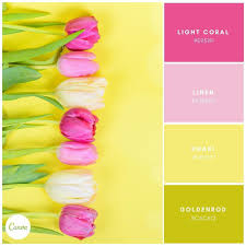 Pin Auf Gamze The first recorded use of baby pink as a color name in english was in 1928. pinterest