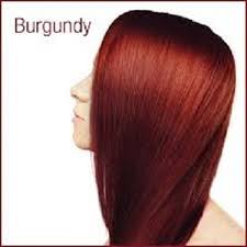 Usually recommended to be used on dark to light brown hair, logona's natural herbal botanical hair color is made using henna and natural plant extracts, such as beetroot and walnut shells. Henna Based Burgundy Henna Hair Dye Certifications Iso 9001 2015 Price 420 Inr Kilograms Id 3423652
