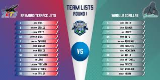 The Platinum Preview