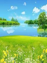 Download Free Yellow Field Beauty Mobile Wallpaper Contributed By Mcdermott Yellow Field Beauty Mobile Wallpap Nature Wallpaper Yellow Fields Mobile Wallpaper