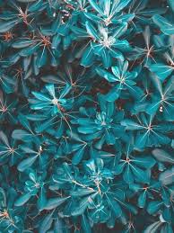 You see the image above. Apple Ipad Pro 12 9 2018 Wallpapers Hd