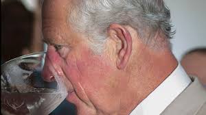 Prince Charles' gin boasts a special ...