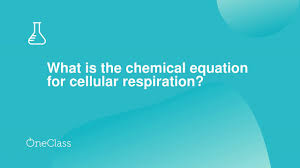 The overall (unbalanced) chemical equation for cellular respiration is: What Is The Chemical Equation For Cellular Respiration Dokterandalan