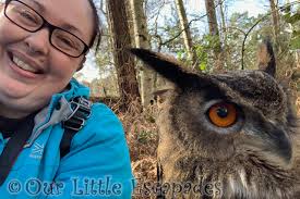 An Encounter with Owls at Center Parcs