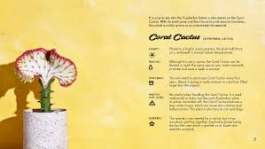 As nouns the difference between hat and cactus is that hat is a covering for the head, often in the approximate form of a cone or a cylinder as nouns the difference between hat and cactus. The Little Book Of Cacti And Other Succulents Sibley Emma Laycock Adam 9781849499149 Amazon Com Books
