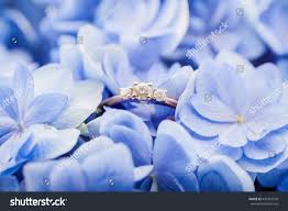 Check spelling or type a new query. Black Real Blue Flowers Ring Rings Jewelry Valresa Com