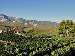 Barnes international realty barnes is a luxury real estate agency that continually seeks excellence for its clients. Stamata 2021 Best Of Stamata Greece Tourism Tripadvisor