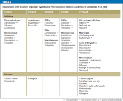 Cytochrome P 450 Inducers Inhibitors Work