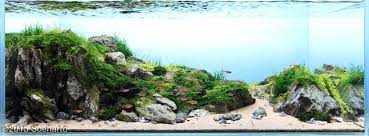 Nano Aquascape Estuary Soeharto Aquajaya Aquascaping