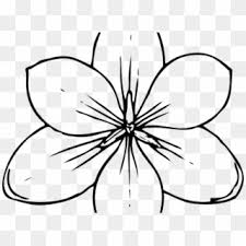 If you're looking for free printable coloring pages and coloring books, then you've come to the right place!our huge coloring sheets archive currently comprises 48732 images in 785 categories. Hawaiian Flowers Png Png Transparent For Free Download Pngfind