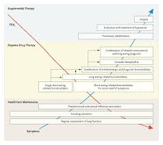 Image result for COPD Management