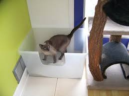 Caixa De Areia Grande Para Gatos Qual A Melhor Caixa De Areia Para Gatos Caixa De Areia De Gato Caixa De Areia Para Gato Caixa De Areia Caixa De Areia Gato