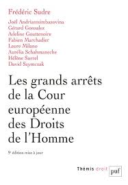 Les Grands Arrets De La Cour Europeenne Des Droits De L Homme 9e Edition Frederic Sudre Puf Grand Format Dalloz Librairie Paris