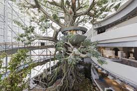 The green planet project is an organization that is dedicated to combating the massive pollution problem this world is dealing with today. The Green Planet Besix