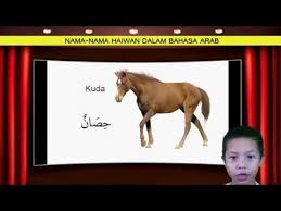 Seperti yang kita ketahui isim terbagi menjadi dua, yaitu mudzakkar dan muannats. Nama Nama Haiwan Dalam Bahasa Arab 3 Youtube