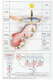 Atlas Filosofia Platon Alegoria De La Caverna Filosofia De La Educacion Filosofia Occidental Filosofia