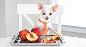 Your dog's curiosity about people foods may have made you curious, too. Food Facts Can Dogs Eat Peaches Proud Dog Mom