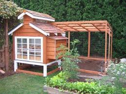 Building a small backyard chicken coop is a complex project, but the construction will be durable. 8 Diy Cute And Functional Small Chicken Coop Plans