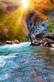 • for a radiant complexion slice a few grapes in half and rub the cut sides over. Beauty Nature Scenery Landscape Background Nature Composition Beautiful Landscape Stock Photo Picture And Royalty Free Image Image 105287568