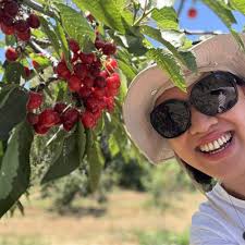 THE BEST 10 HONEY near CHERRY VALLEY, CA