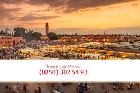 Havayollari Iletisim Trabzon Ucretsiz Cagri Merkezi 0850 302 54 93