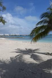 Zoë kravitz | palm tree from the bahamas tattoo on the inner forearm. World Tattoo Traveler Bahamas