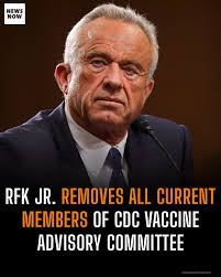 In an unprecedented move, U.S. Health and Human Services Secretary Robert  F. Kennedy Jr. dismissed all 17 members of the CDC's vaccine advisory  panel, citing conflicts of interest and raising concerns about
