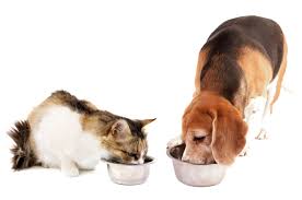 Learn more about pittsburgh c.a.t. How To Get Free Cat And Dog Food