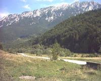 Maybe you would like to learn more about one of these? Property Plaiul Foii For Sale Real Estate Sale Ads Romania Realigro Com