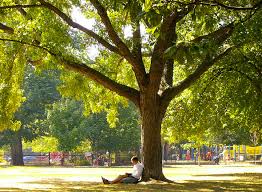 We found 570 holiday rentals — enter your dates for availability. Toronto Parks Trinity Bellwoods Park