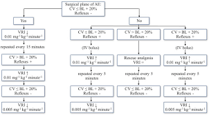 cardiovascular effects induction and recovery