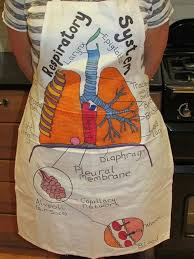 Respiratory System Sharpie Pens On An Apron Can Be Positioned To Show Organ P Respiratory System Activities Middle School Science Respiratory System Projects
