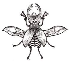 Inner Workings Photo Bug Tattoo Insect Tattoo Beetle Tattoo