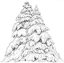 To print the coloring page: Snow Covered Pine Tree Coloring Pages