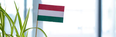 Dreimal hat portugal gegen ungarn in budapest vorgespielt, alle drei der portugiesische kader verfügt über so viel qualität, da könnte sogar ein. Erfolgreich Investieren In Ungarn Rodl Partner
