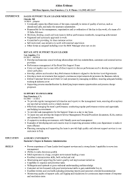 Support Team Leader Resume Samples Velvet Jobs