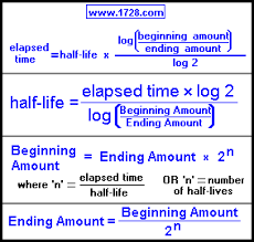 half life calculator