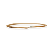 PEEK Backup Ring