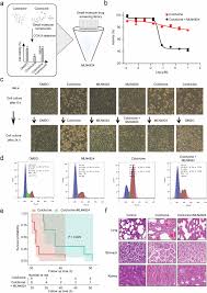 Image result for Colchicine Toxicity