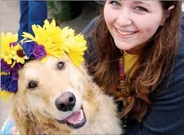 Sunshine After Dark in Russellville