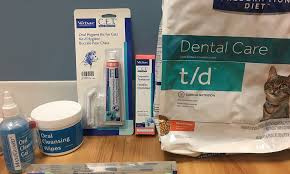 Vomiting is a frustrating problem in cats because cats seem to vomit more easily than most other species. Dental Disease It S Not Just Stinky Cat Breath Just Cats Clinic