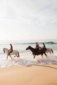 Horse Riding On The Beach Airbnb Experience Horse Riding Horses Horseback Riding