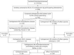 Flow Chart Of The Selection Process Of Isolates Submitted To