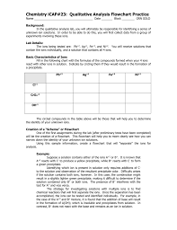 chemistry qualitative analysis pre lab