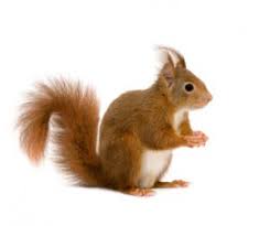 Check spelling or type a new query. Contact Caisse D Epargne Telephone Web Email Et Courrier