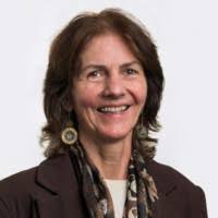 300+ perfiles de «Yool»