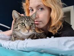 Our beautiful house cat marley who had never been outdoors before was  accidently let out in march 2017, we have done everything possible to find  him but have had no leads, he